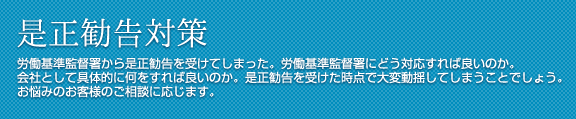 是正勧告対策 労働基準監督署から是正勧告を受けてしまった。
労働基準監督署にどう対応すれば良いのか。会社として具体的に何をすれば良いのか。
是正勧告を受けた時点で大変動揺してしまうことでしょう。
お悩みのお客様のご相談に応じます。
