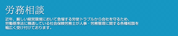 労務相談 近年、厳しい経営環境において急増する労使トラブルから会社を守るため、労働基準法に精通している社会保険労務士が人事・労務管理に関する各種相談を幅広く受け付けております。
