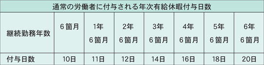 通常の労働者に付与される年次有給休暇付与日数