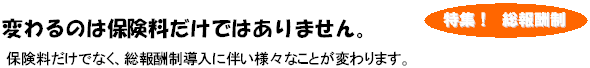 変わるのは保険料だけではありません。／保険料だけでなく、総報酬制導入に伴い様々なことが変わります。