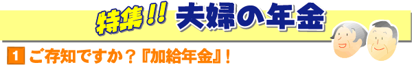 特集！～夫婦の年金～ / 1.ご存知ですか？『加給年金』！