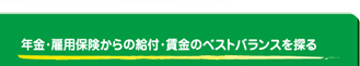 年金・雇用保険からの給付・賃金のベストバランスを探る