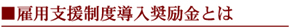 雇用支援制度導入奨励金とは