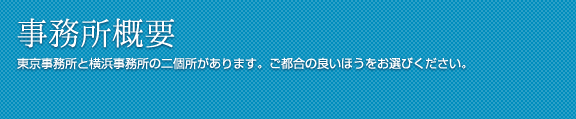 事務所概要 東京事務所と横浜事務所の二箇所があります。ご都合のいいほうをお選びください。