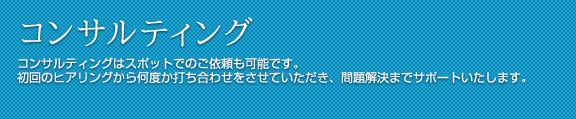 コンサルティング コンサルティングはスポットでのご依頼も可能です。初回のヒアリングから何度か打ち合わせをさせていただき、問題解決までサポートいたします。 