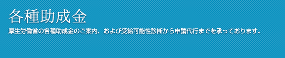 各種助成金 厚生労働省の各種助成金のご案内、および受給可能性診断から申請代行までを承っております。